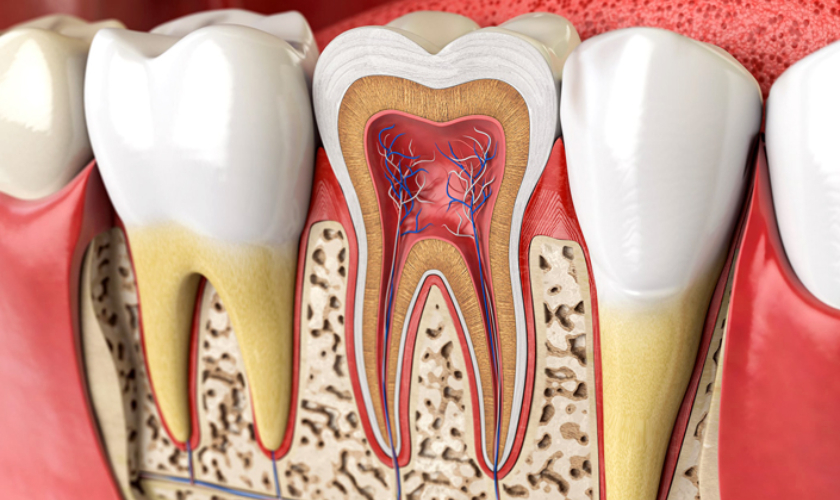 Root Canal Treatment Round Rock